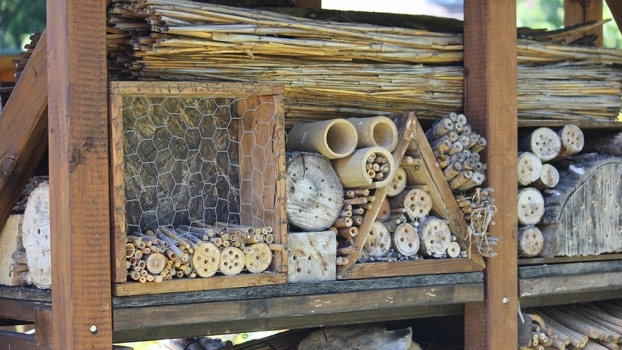 Insektenhotel im relexa hotel Berlin